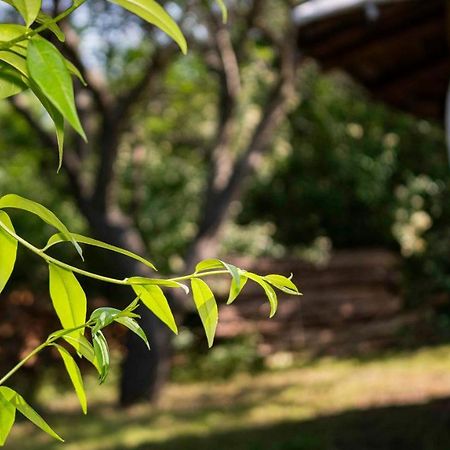 Banya Clay House Banya别墅 外观 照片