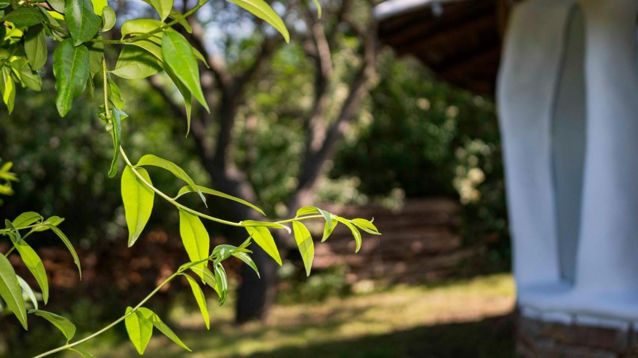 Banya Clay House Banya别墅 外观 照片